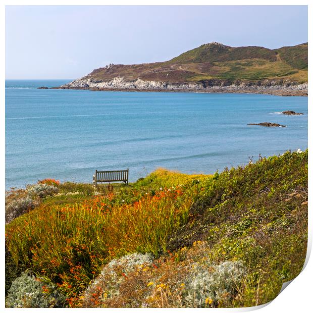 Near Barricane Beach in North Devon Print by Chris Dorney