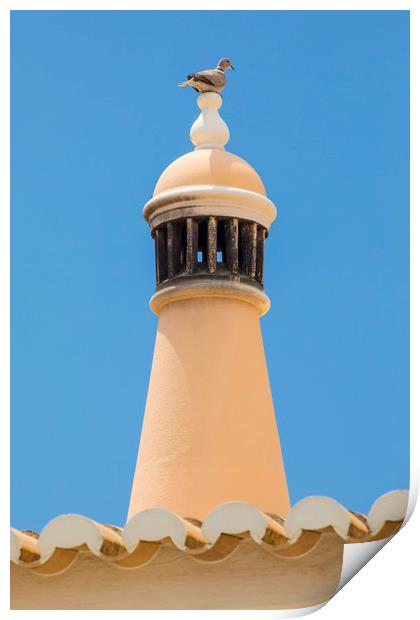 Pigeon on a Chimney Print by Chris Dorney