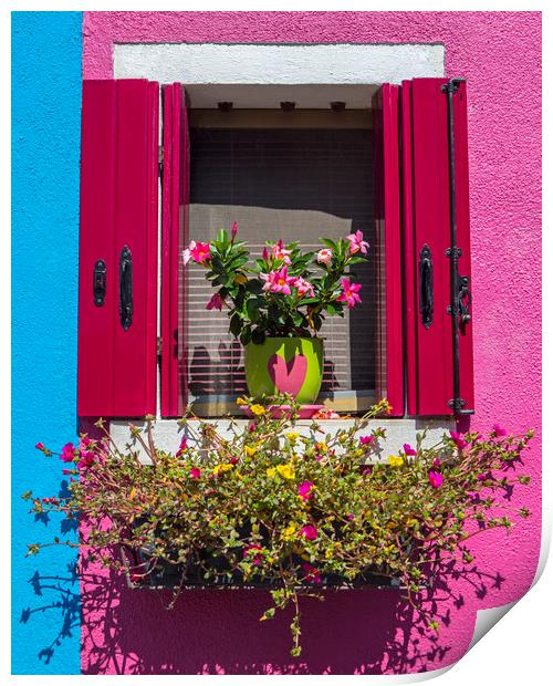 Window with Flowers in Burano Print by Chris Dorney