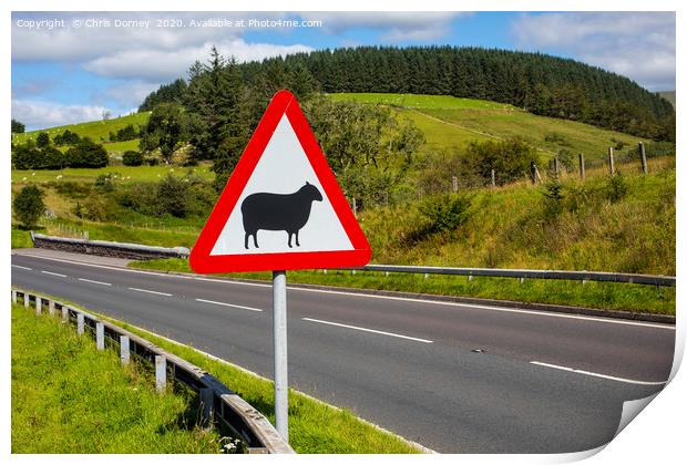 Road Sign Warning of Sheep in Wales Print by Chris Dorney