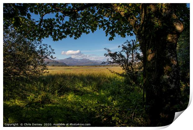 View of Snowdonia from Traeth Glaslyn Nature Reser Print by Chris Dorney