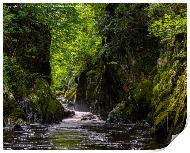 The Fairy Glen in Betws-Y-Coed, Wales Print by Chris Dorney