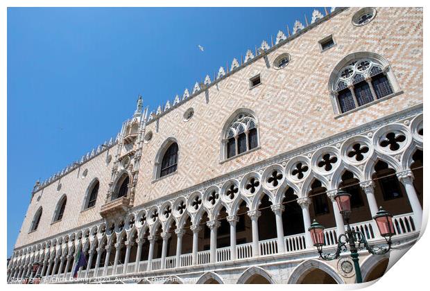 Doges Palace or Palazzo Ducale in Venice Print by Chris Dorney