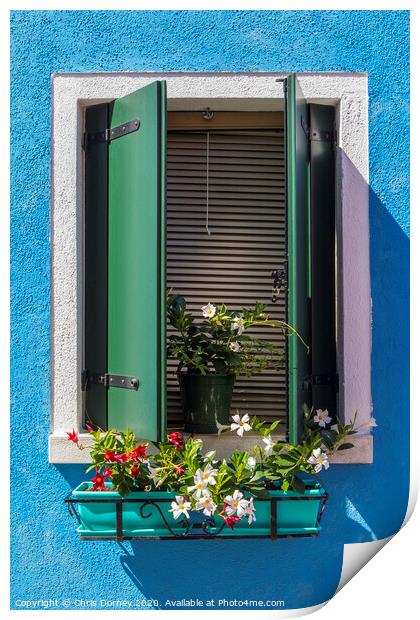 Window with Flowers in Burano Print by Chris Dorney