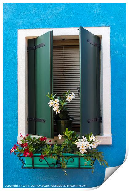 Window with Flowers in Burano Print by Chris Dorney