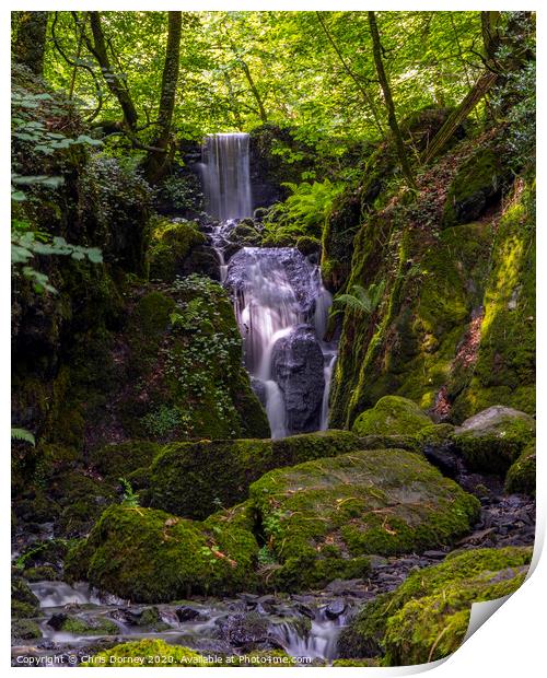Clampitt Falls in South Devon Print by Chris Dorney