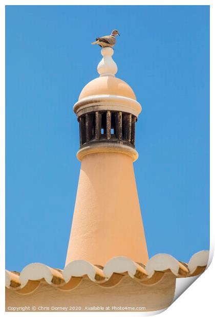 Pigeon on a Chimney Print by Chris Dorney