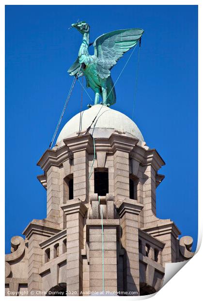 Liver Bird Perched on the Royal Liver Building Print by Chris Dorney