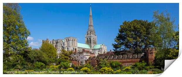 Chichester in Sussex Print by Chris Dorney