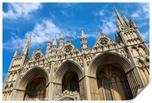 Peterborough Cathedral in the UK Print by Chris Dorney