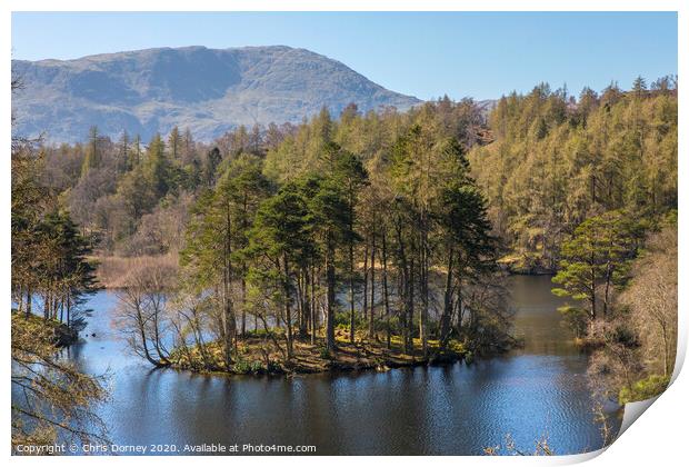 Tarn Hows in the Lake District Print by Chris Dorney