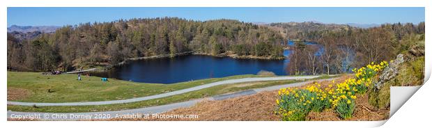 Picturesque View over Tarn Hows in the Lake District Print by Chris Dorney