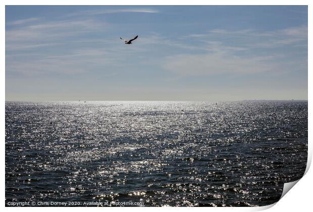 Seaview from Brighton Pier Print by Chris Dorney