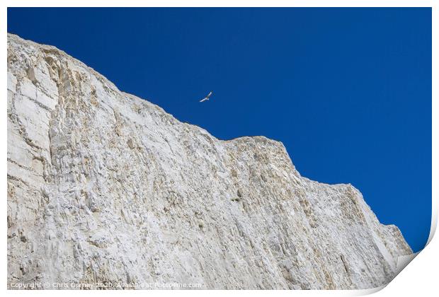 Chalk Cliffs on the Coastline in East Sussex Print by Chris Dorney