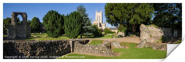 Bury St. Edmunds Abbey Remains and St Edmundsbury Cathedral Print by Chris Dorney