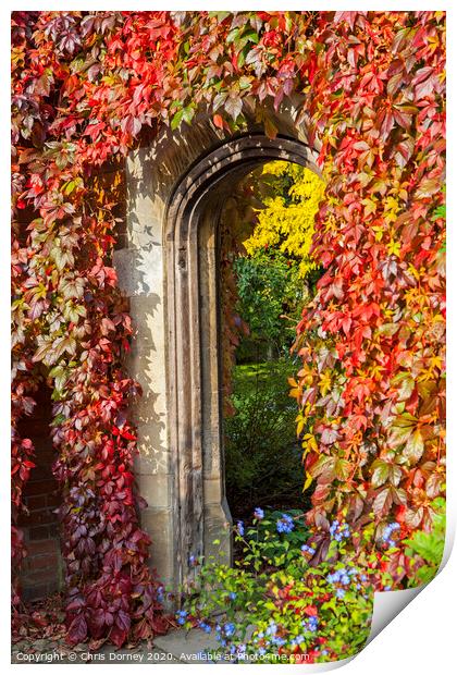 Beautiful Passageway in a Garden Print by Chris Dorney