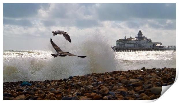 Eastbourne Seafront Print by Adam Ransom