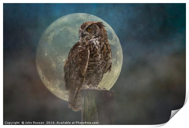 The Owl & the Moon Print by JOHN RONSON