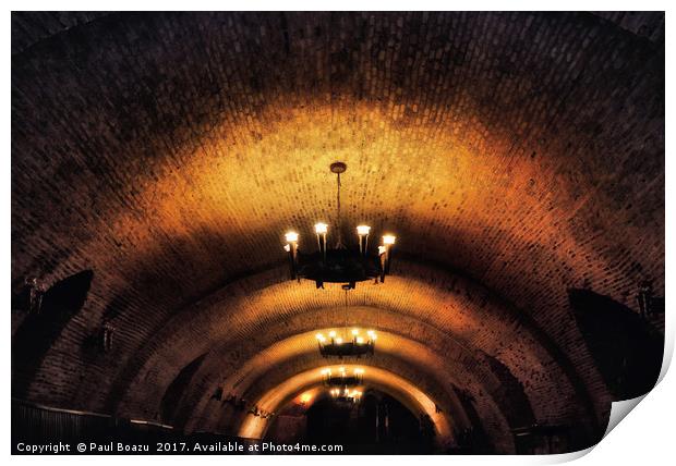 wine cellar ceiling  Print by Paul Boazu