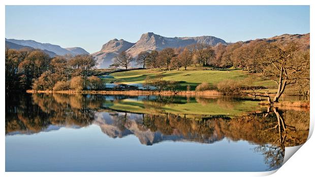 Langdale Pikes from Loughrigg Tarn Print by Linda Lyon
