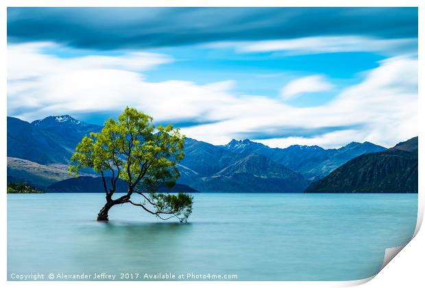 The Lone Tree Print by Alexander Jeffrey