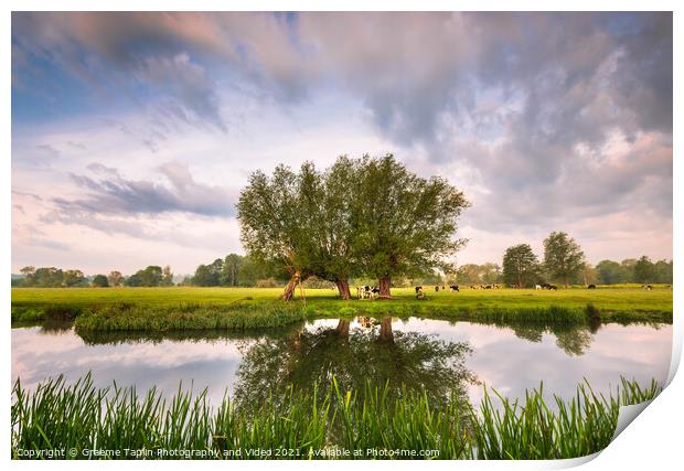 Reflections on the river Stour Print by Graeme Taplin Landscape Photography