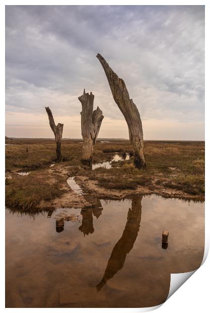 Thornham Staithe posts Print by Graeme Taplin Landscape Photography