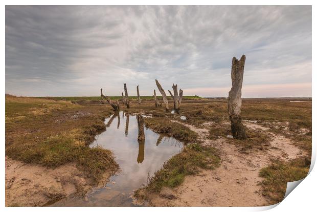 Old timber posts Thornham Norfolk at low tide.  Print by Graeme Taplin Landscape Photography