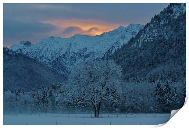 Winter's Dawn Print by John Iddles