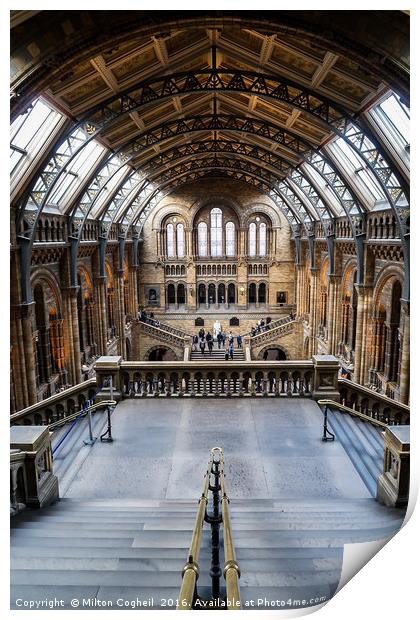 Natural History Museum, London Print by Milton Cogheil