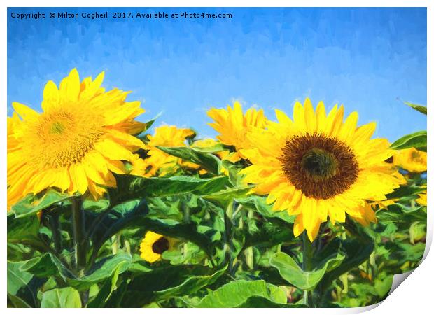 Sunflower Field II Digital Art Print by Milton Cogheil