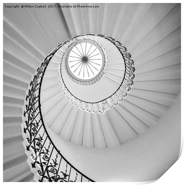 The Tulip Spiral Stairs - Black and White Print by Milton Cogheil