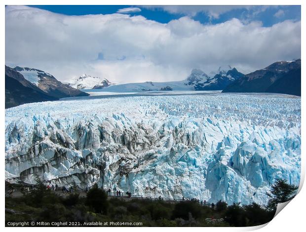 Perito Moreno Glacier in the Los Glaciares National Park Print by Milton Cogheil