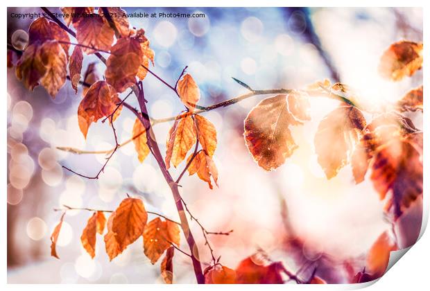 Autumn Bokeh. Print by Steve Whitham