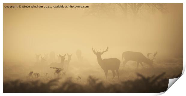  Early Light of Autumn Panorama. Print by Steve Whitham