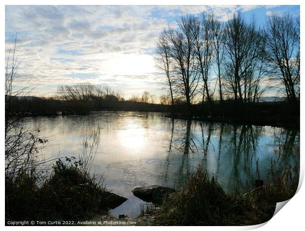 Winter reflection in pond Print by Tom Curtis