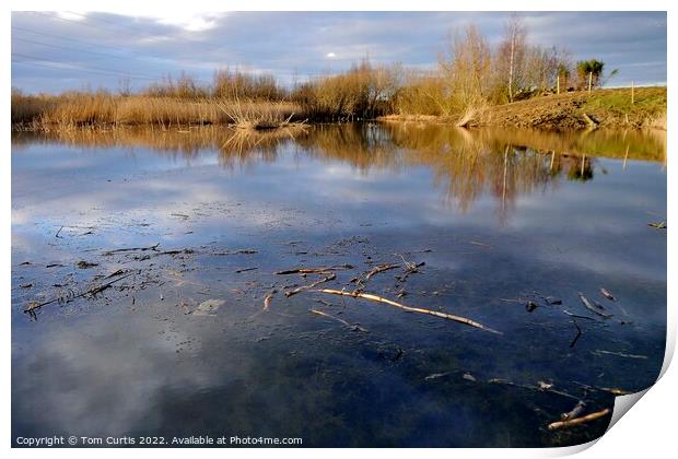 Outdoor waterside Print by Tom Curtis