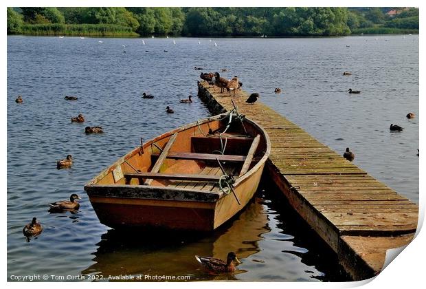Rowing Boat  Hornsea Mere Print by Tom Curtis