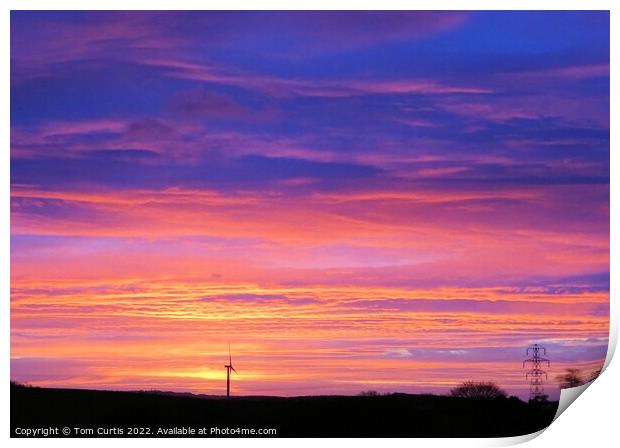 Colourful Sunrise at Cudworth Print by Tom Curtis