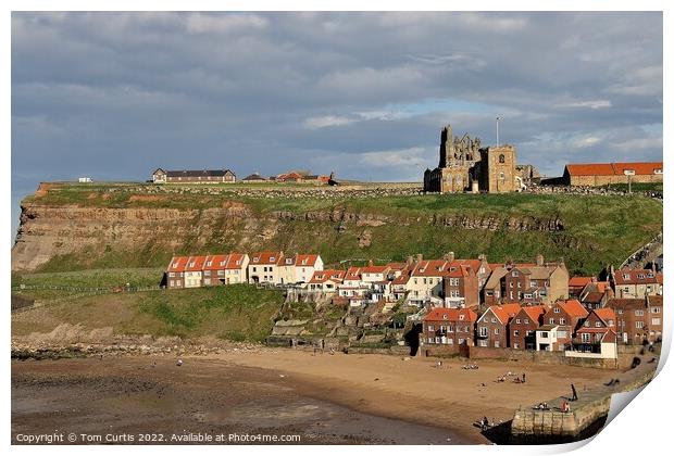 Whitby Coastline North Yorkshire Print by Tom Curtis