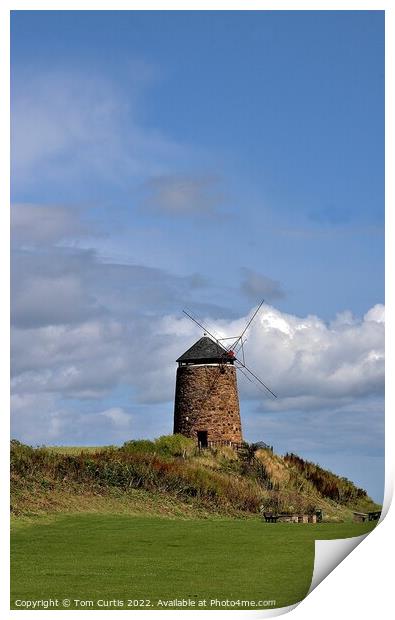 St Monans Windmill Fife Print by Tom Curtis