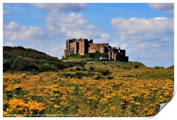 Bamburgh Castle Northumberland Print by Tom Curtis
