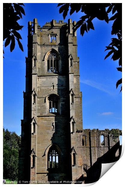 Fountains Abbey Yorkshire England Print by Tom Curtis