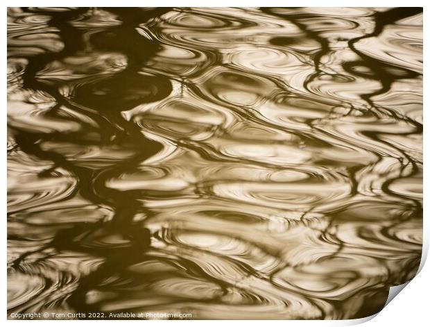 Ripples in Water Print by Tom Curtis