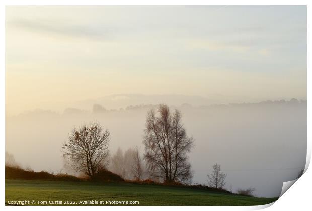 Foggy Morning Print by Tom Curtis