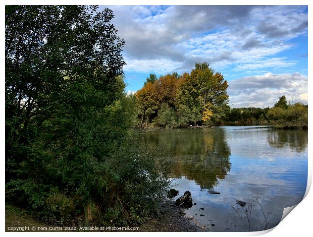 Trees and Reflections Print by Tom Curtis