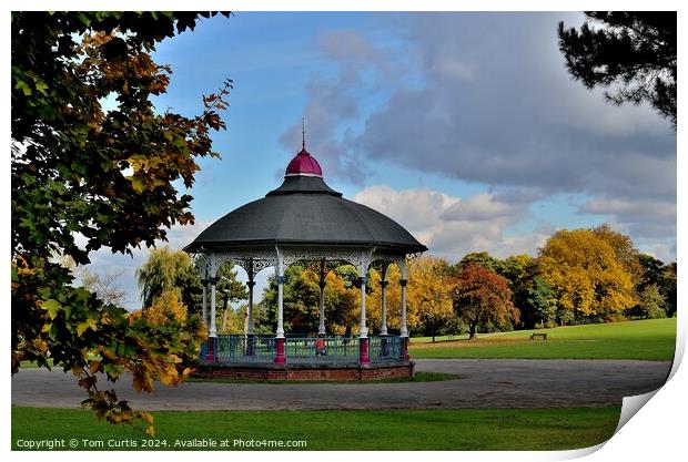 Bandstand Locke Park  Print by Tom Curtis