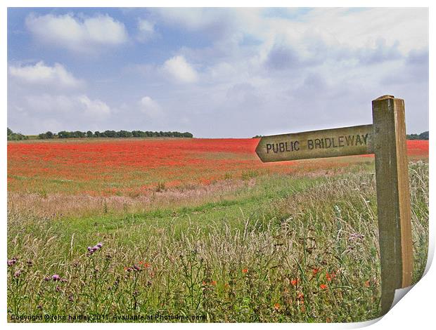 Poppies by the Bridleway - North Norfolk Print by john hartley
