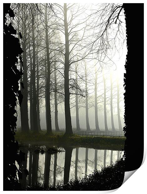 Mist River -shrouded in mist Poplar Tress by the R Print by john hartley