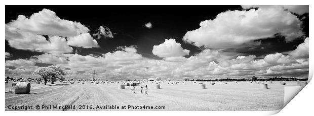 Barleylands Farm Print by Phil Wingfield